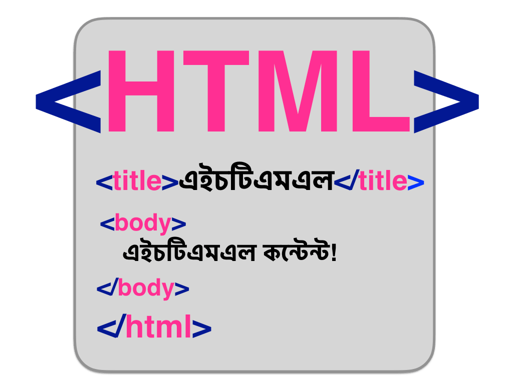 HTML