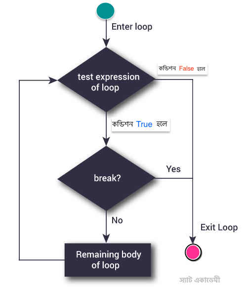 while লুপ এর ফ্লোচার্ট